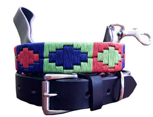 CONSTITUCIÓN — Polo Dog Collar & Lead Set