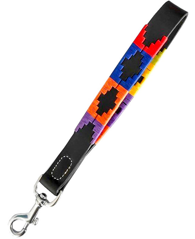 MONTEROS | Polo Dog Short Lead