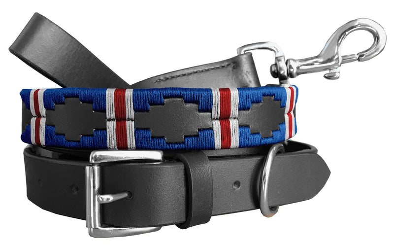 TINOGASTA — Polo Dog Collar & Lead Set