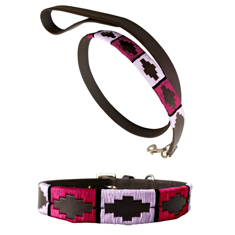 TOSTADO | Polo Dog Collar & Lead Set