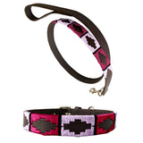 TOSTADO | Polo Dog Collar & Lead Set