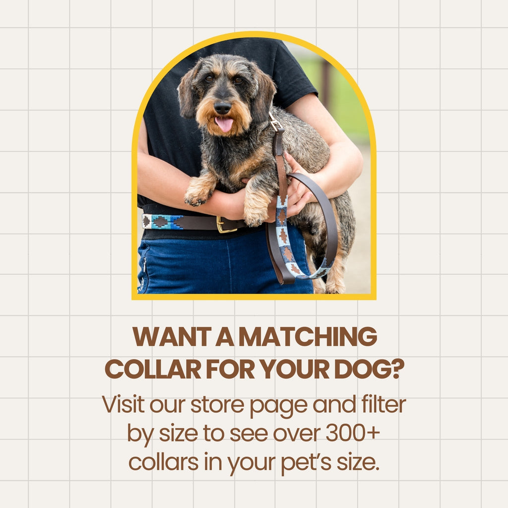 UDAONDO | Polo Dog Short Lead