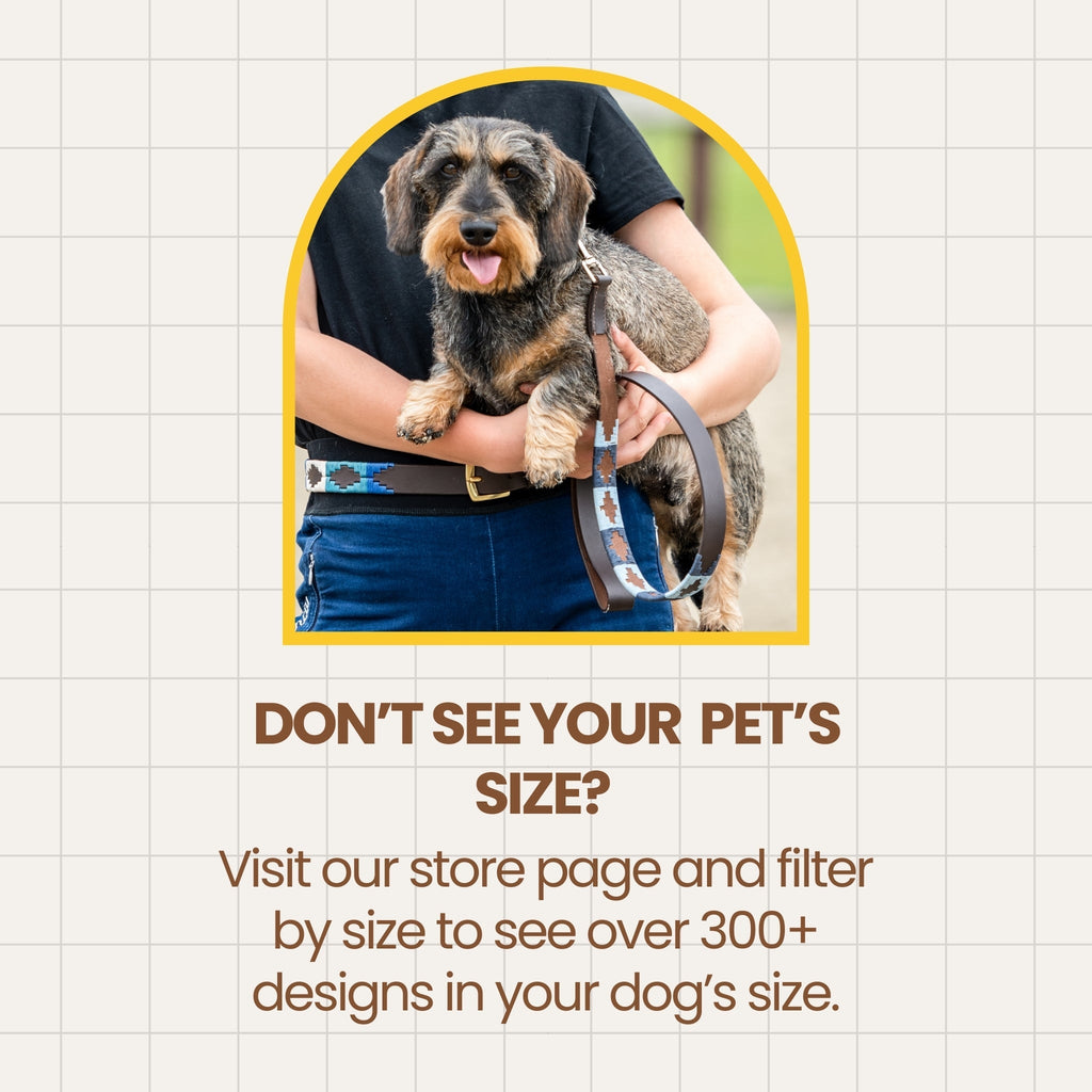 MARENO — Polo Dog Collar