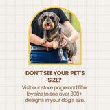 UDAONDO — Polo Dog Collar & Lead Set