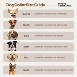 VEINTICINCO — Polo Dog Collar