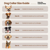 GARÍN — Polo Dog Collar