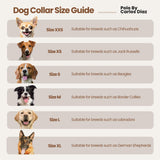SANTIAGO | Polo Dog Collar & Lead Set