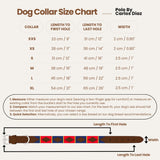 LA PAMPA | Polo Dog Collar & Lead Set