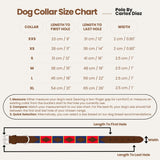 CONSTITUCIÓN — Polo Dog Collar & Lead Set