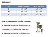 BAHÍA | Polo Dog Harness & Lead Set