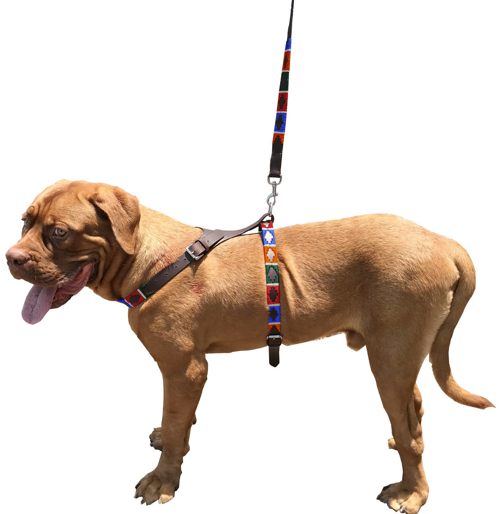 POSADA - Polo Dog Harness & Lead Set