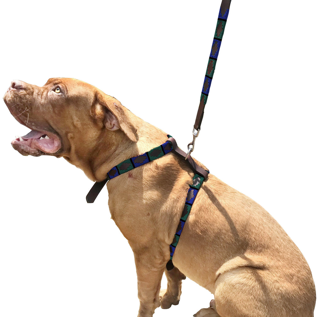 ANDRESITO - Polo Dog Harness & Lead Set