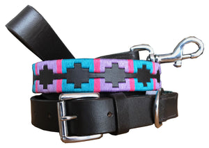 AIMOGASTA - Polo Dog Collar & Lead Set