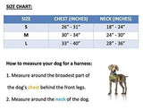 ANDRESITO - Polo Dog Harness & Lead Set